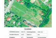 Großflächiges Baugrundstück in Gols beim Neusiedlersee (Provisionsfrei)