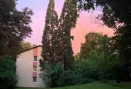 Neu saniert: Traum-Ruhelage: 2-Zimmer-Wohnung in Baden