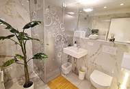 STEPHANSPLATZ-NÄHE, 27 m2 Apartment, 1 Zimmer, Kochnische, Duschbad, Parketten, 8. Liftstock, Rotenturmstraße