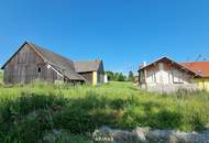 Großzügige Liegenschaft vereint Wohnen, Arbeiten und Entwickeln