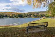 Neuwertiges, winterfestes Haus/Tiny House am Römersee – Ein echtes Einzelstück!