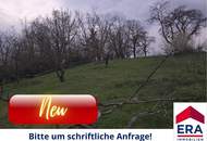 Grundstück zur Miete in Mistelbach - Gartenparadies mit Altbaumbestand