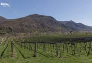 Exklusive Erdgeschosswohnung mit Eigengarten