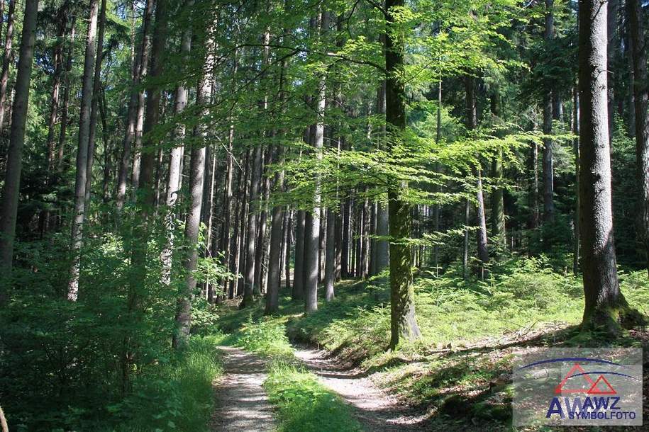 Ca. 50 Hektar Waldfläche!, Gewerbeobjekt-kauf, 3681 Melk