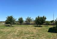 *ORTSRANDLAGE:* Wohnhaus mit sehr schönem, ebenen Garten und großzügigem Grundstück.