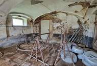 Großzügige Liegenschaft vereint Wohnen, Arbeiten und Entwickeln