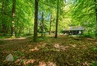 Exklusives Badeparadies am Wörthersee: Ihr privates Refugium mit Seezugang und Waldidylle