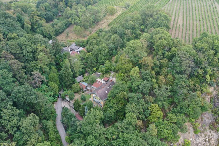 Exklusives Biedermeier-Juwel in Bestlage des 19. Bezirks [A\\], Haus-kauf, 1.990.000,€, 1190 Wien 19., Döbling