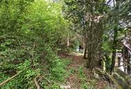 Verstecktes Juwel im Grünen: SANIERUNGSPROJEKT in traumhafter Waldrandlage!