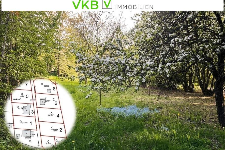 Großzügiges Grundstück nähe Gallneukirchen! - Gemeinde Alberndorf in der Riedmark (GST 2443/1), Grund und Boden-kauf, 220.000,€, 4211 Urfahr-Umgebung