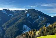 Grundstück in Hüttau im Fritztal auf ca 1400 Meter inkl. genehmigten Plan für ein Landhaus (Chalet)