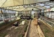 Einfamilienhaus mit großzügigem Grundstück