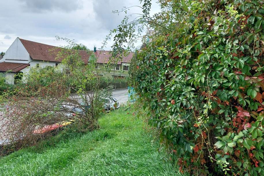 Grosses Grundstück mit bewilligtem Projekt!, Grund und Boden-kauf, 75.000,€, 3252 Melk