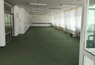 Gewerbeobjekt mit 1302 m2 Halle und 310 m2 Büro und 445 m2 Betriebswohnungen die auch als Büro genützt werden könnten