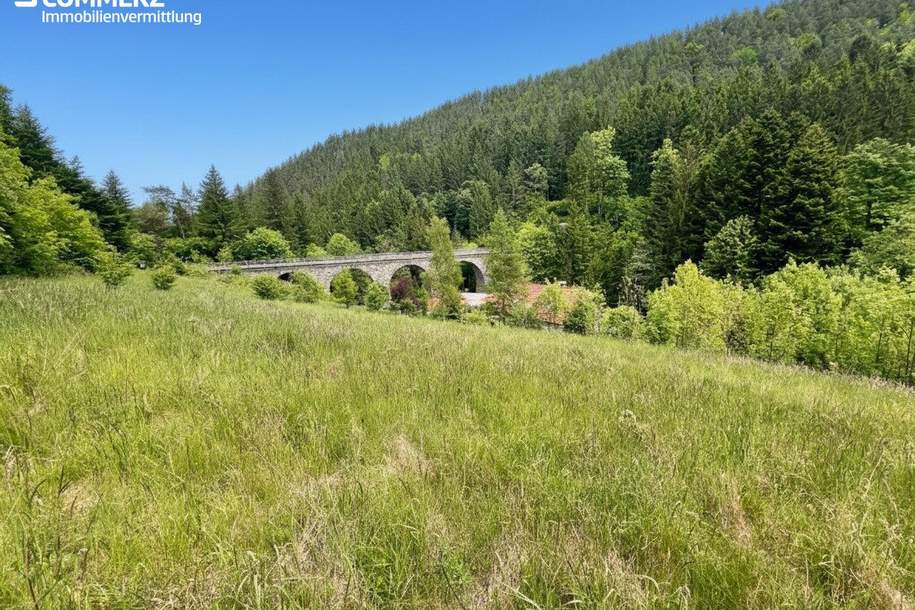 Leben am Sonnenhang, Grund und Boden-kauf, 99.000,€, 2870 Neunkirchen