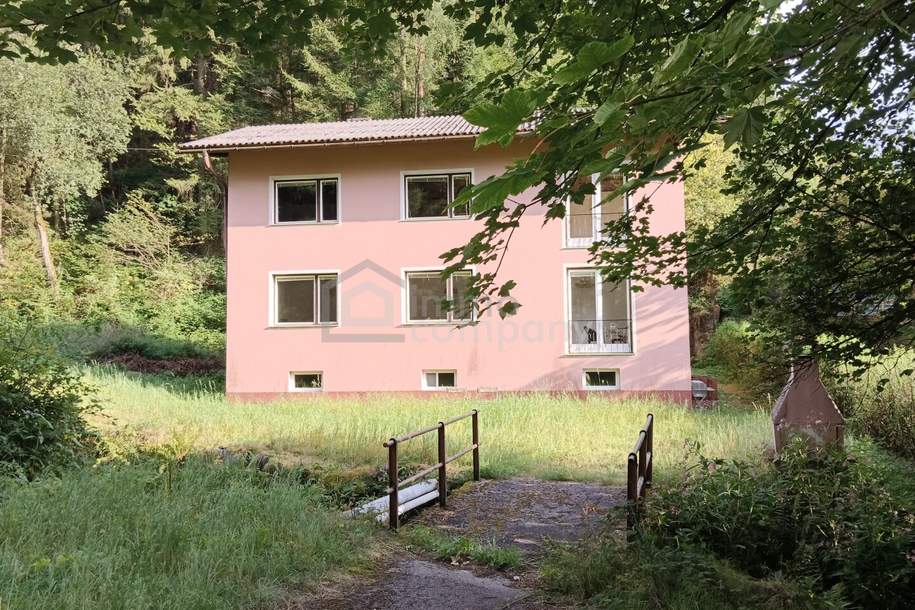Wohnen am Waldrand mit eigenem Bächlein - Natur pur, Haus-kauf, 380.000,€, 2842 Neunkirchen