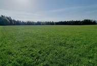 Landwirtschaftliches Grünland mit Waldfläche