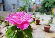 RIESIGE DACHTERRASSE + HOCHWERTIGE AUSSTATTUNG + SÜD/WEST Ausrichtung + Tiefgarage! Nur 7 Min. von Graz entfernt!