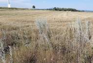 Kauf oder Miete: Grundstück an der A6- Potzneusiedl