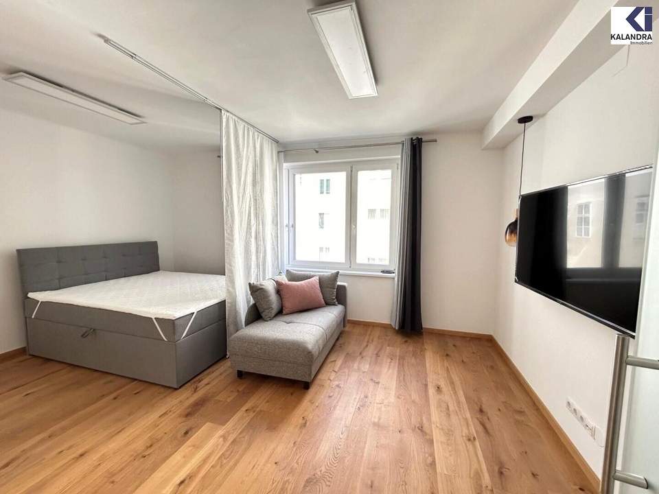 MÖBLIERTES CITY APARTMENT bei der STAATSOPER // FURNISHED CITY APARTMENT at STATE OPERA