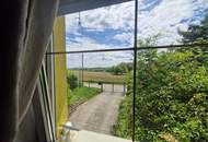 ZWEI WOHNHÄUSER - TRAUMHAFTER BUNGALOW UND KLEINES SOMMERHAUS SAMT PARKÄHNLICHEM GARTEN MIT HERRLICHEM ALTBAUMBESTAND