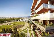 SILVESTER MIT FERNBLICK