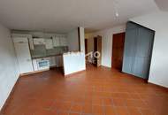 Hübsche 43m² DG-Wohnung im Wehrgarben in der Stadt Steyr