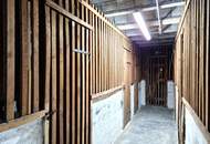 Sympathische 2-Zimmer-Wohnung in einem neu sanierten Haus