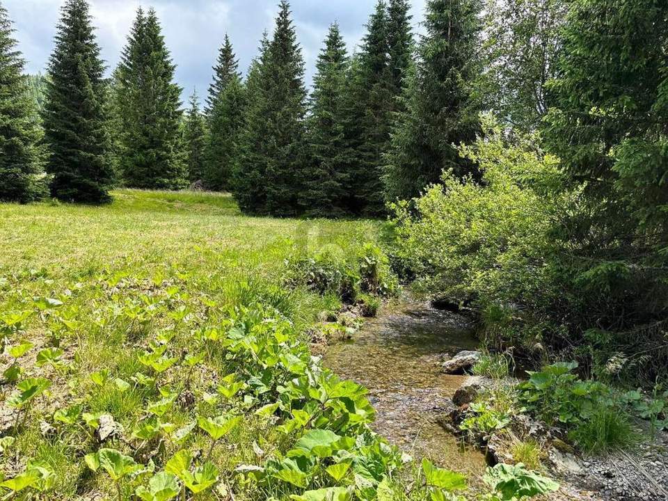 FERN VON DER HEKTIK AUF DER FLATTNITZ