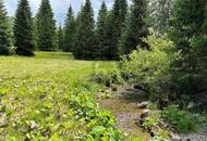 FERN VON DER HEKTIK AUF DER FLATTNITZ