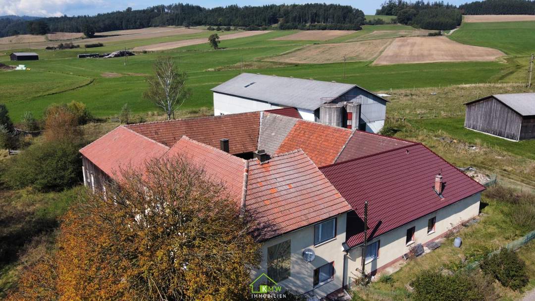 Bauernhaus im Dunkelsteinerwald in Ruhelage