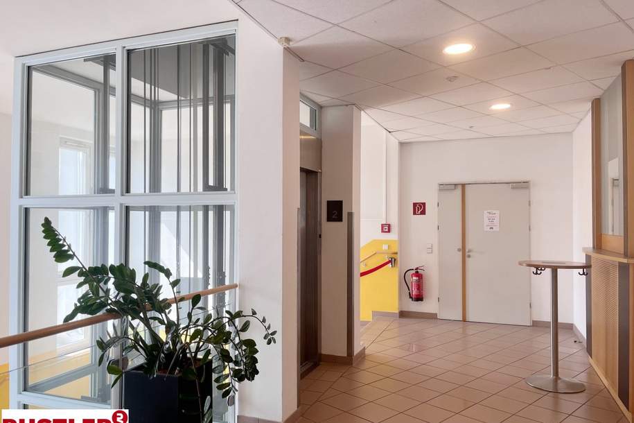 Top Adresse - mitten im Zentrum von Mödling zu mieten!, Gewerbeobjekt-miete, 2.982,47,€, 2340 Mödling