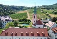 Eingebettet zwischen den „Weinbergen“ und „Donau“ – sofort beziehbar inkl. Küche in charmanten „Freihof“ - JETZT ANFRAGEN
