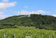 ON TOP - Villa am Kahlenberg