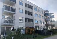 Heiß begehrt - es sind wieder Wohnungen zu vergeben