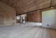 Penthouse-Wohnungen in ruhiger Ortsrandlage