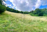 TRAUMHAFTES GRÜNLAND