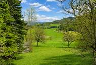 *** Urige Gemütlichkeit in der Waldheimat: Wohn & Ferienhaus mit Weitblick ***