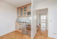 Ungehinderter Weitblick über die die Stadt: Ihre City - Donau - Maisonette