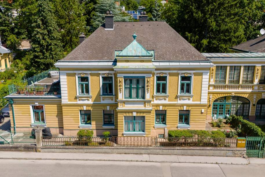 "Stilvolle Villa im Herzen von Baden", Haus-kauf, 1.990.000,€, 2500 Baden