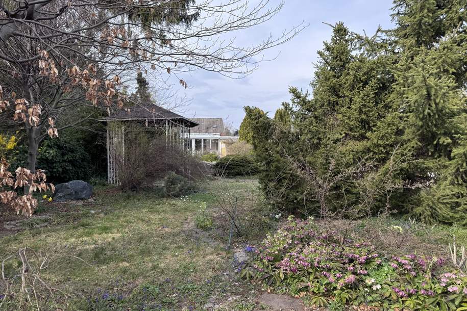 Doppelte Parzelle in Ruhelage: Gepflegter Bungalow mit Wintergarten und Doppelgarage auf einer Doppelparzelle, Haus-kauf, 439.000,€, 2601 Wiener Neustadt(Land)