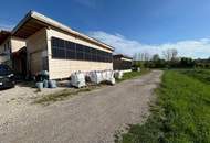 Autark leben im Lehm-Holz-Haus – mit 60 kWp PV & Naturpool