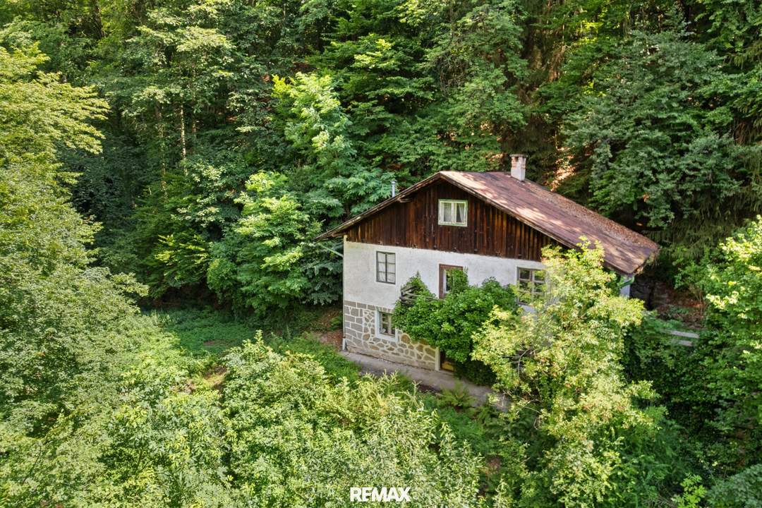 Ruhige Grundstückslage mit Altbestand – Naturidylle in Urfahr