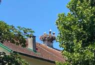 Seewinkel- Bungalow im Ortskern der Weinbaugemeinde am Neusiedlersee