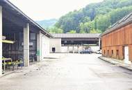 13.000 m² große Freifläche und 1 Lagerhalle mit ca. 240 m² im Urltal zu MIETEN