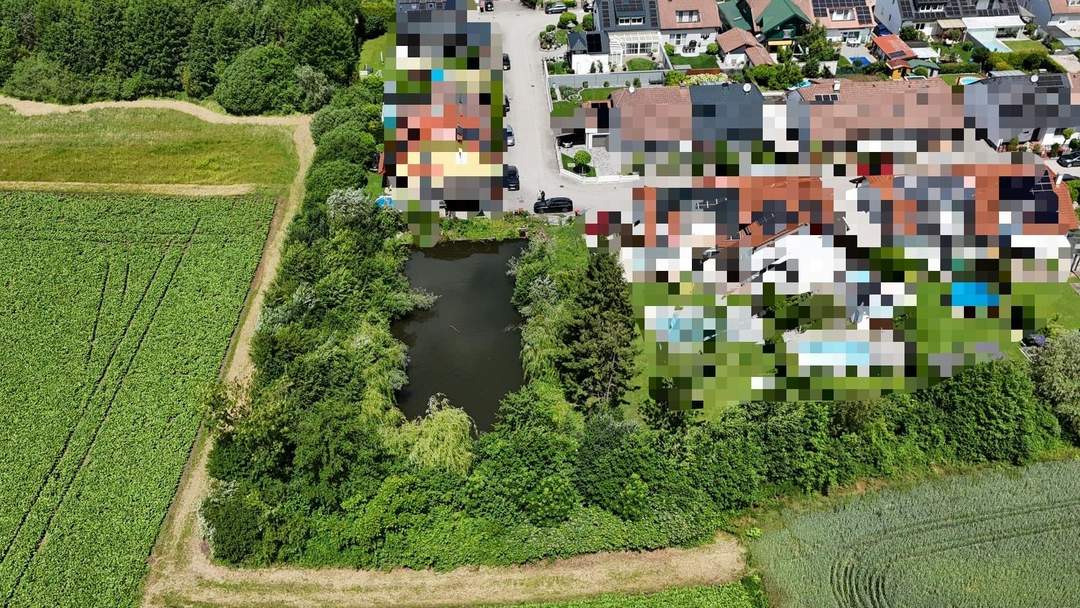 Digitales Angebotsverfahren: Sonniges Freizeitgrundstück mit idyllischem Teich in begehrter Lage von Wels-Puchberg