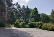 Ihre Gelegenheit! Grundstück in Traumlage mit Waldbestand!