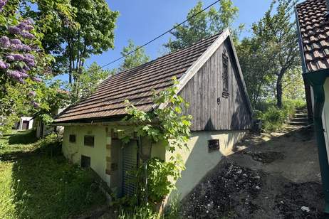 Weinkeller mit Freifläche und Weingarten – Ihr Projekt für nur 9.990 €!, Grund und Boden-kauf, 9.990,€, 2263 Gänserndorf