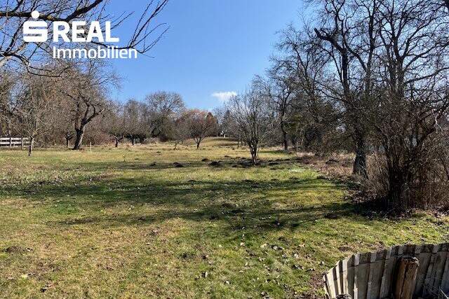 Großzügiges Wohnhaus mit riesigem Garten im Thermenort Bad Tatzmannsdorf, Haus-kauf, 295.000,€, 7431 Oberwart