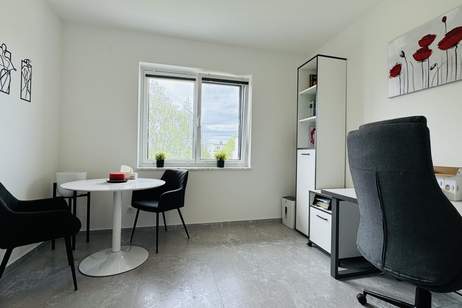 Shared Office in Bahnhofsnähe, Gewerbeobjekt-miete, 395,40,€, 2230 Gänserndorf